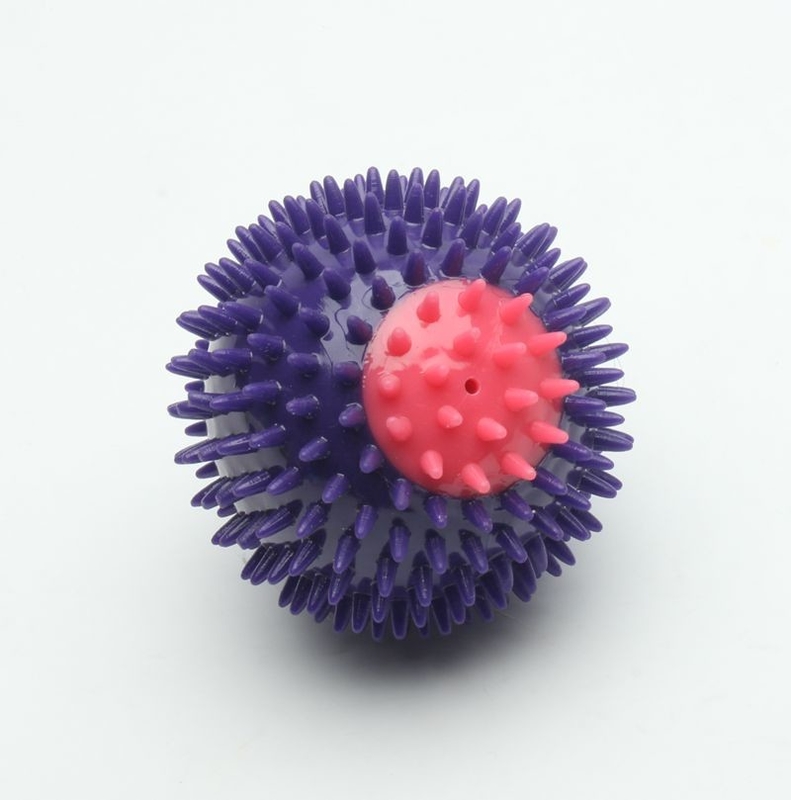 Great Gift TPR Plastic Squeaky Dog Balls Eco - Friendly Customized Color